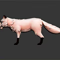 White Fox 3D Model With Brown Ears Legs And Yellow Eyes On Gray Background