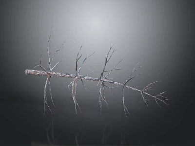 Dried Plant Branch With Thin Delicate Twigs Covered In Frost On Gray Background With Reflection 3d model