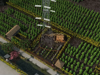 Scenic Rural Landscape With Vast Farmland Yellow Flower Fields Power Tower And Small Cottage 3d model