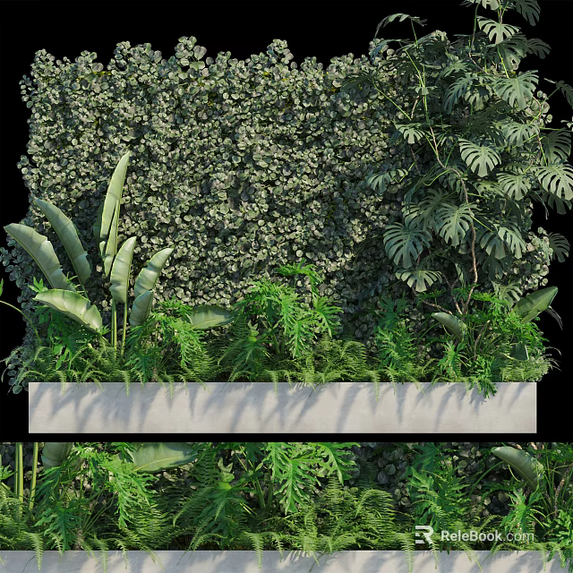 Lush Indoor Living Plant Wall With Various Green Foliage And Decorative Design 3d model 