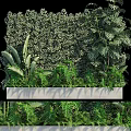 Lush Indoor Living Plant Wall With Various Green Foliage And Decorative Design
