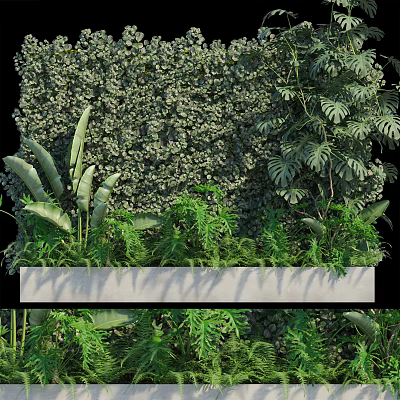 Lush Indoor Living Plant Wall With Various Green Foliage And Decorative Design 3d model