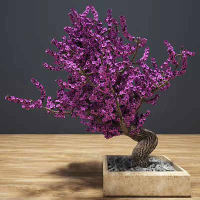 Bonsai Tree With Purple Blossoms Curved Trunk In Square Pot With Pebbles On Wooden Table 3d model