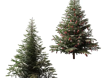 Two Evergreen Arbor Trees One Decorated With Red Ornaments And Pinecones 3d model