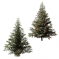 Two Evergreen Arbor Trees One Decorated With Red Ornaments And Pinecones