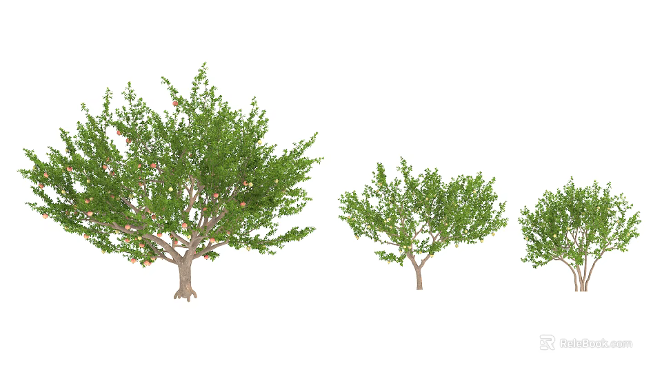Arbor Trees in Three Different Sizes with Lush Green Foliage and Trunks 3d model