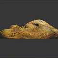 Fresh Potatoes in Mesh Bag on Black Background