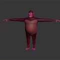 Monkey Standing Pose With Arms Outstretched 3D Model Digital Rendering