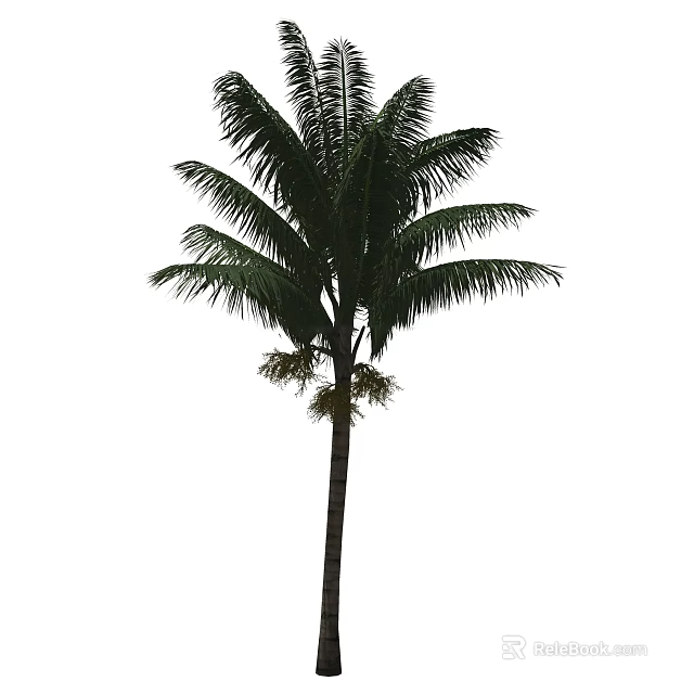Lush Green Palm Tree With Tall Trunk And Healthy Fronds In Natural Scene 3d model 