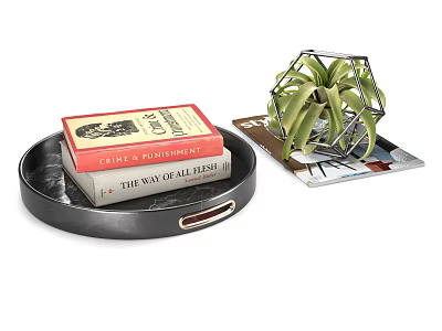 Elegant Decorative Ornament Set With Black Tray Books Magazine And Metal Frame Succulent 3d model