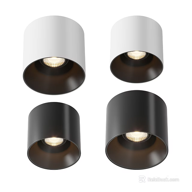Modern White And Black Downlights With Bright LED For Home Ceiling Lighting 3d model 