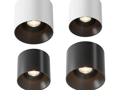 Modern White And Black Downlights With Bright LED For Home Ceiling Lighting 3d model