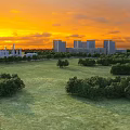 Beautiful Sunset Landscape With Vast Green Lawn Scattered Trees And Distant Modern Urban Buildings