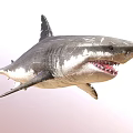 Fierce Shark Character From Game And Movie With Sharp Teeth And 3D Design