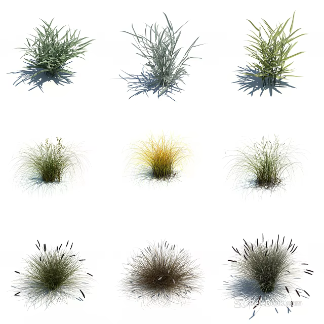 Various Ornamental Herbaceous Plants With Green Yellow And Brown Foliage For Garden Landscaping 3d model 