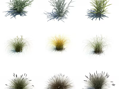 Various Ornamental Herbaceous Plants With Green Yellow And Brown Foliage For Garden Landscaping 3d model