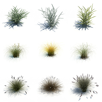 modern grass flowers 3d model