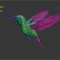 Green Hummingbird With Long Beak And Spread Wings Flying In Air