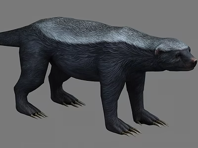 honey badger 3d model