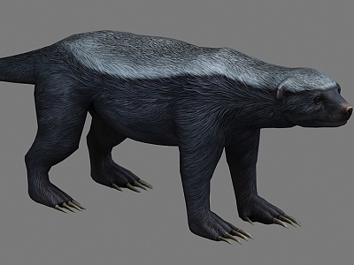 honey badger 3d model