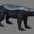 honey badger 3d model