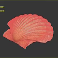 Beautiful Orange And White Mollusk Shell With Intricate Patterns On Dark Surface 3d model