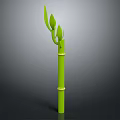 Tall Green Bamboo with Natural Joints and Fresh Leaves at the Top