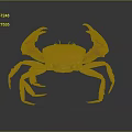 Aquatic Animal Orange Crab With Large Claws On Gray Gradient Background And Reflective Surface