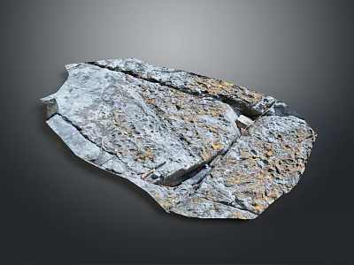 Wood and Stone Decorative Slab With Natural Texture And Irregular Shape Surface 3d model