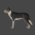 Realistic Game Movie Character Dog With Black White Coat Standing Pose