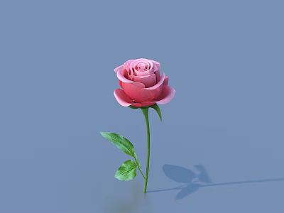 Single Pink Rose With Fresh Green Leaves On Smooth Blue Background 3d model