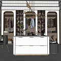 Modern Walk in Closet Interior Design With Hanging Racks Dressing Table And Storage Cabinets