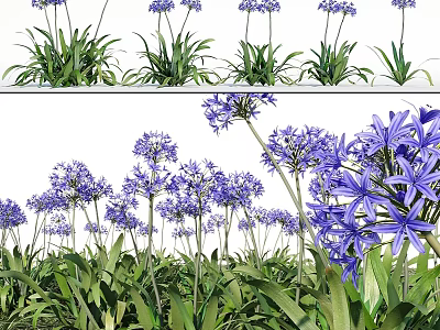 Vibrant Purple Flower Clusters With Lush Green Leaves In Natural Growing Environment 3d model
