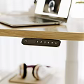 Bright Modern Study Room With Wooden Desk Computer Monitor Bookshelf And Green Plant