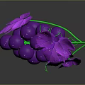Fresh Purple Grapes With Shiny Water Droplets And Vibrant Leaves On Dark Background