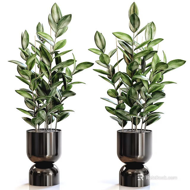 Potted Bonsai Plants With Green Leaves In Black Metal Pots For Indoor Decor 3d model 