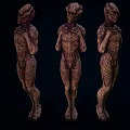 Three Fantasy Alien Game Movie Characters With Textured Bodies In Standing Pose