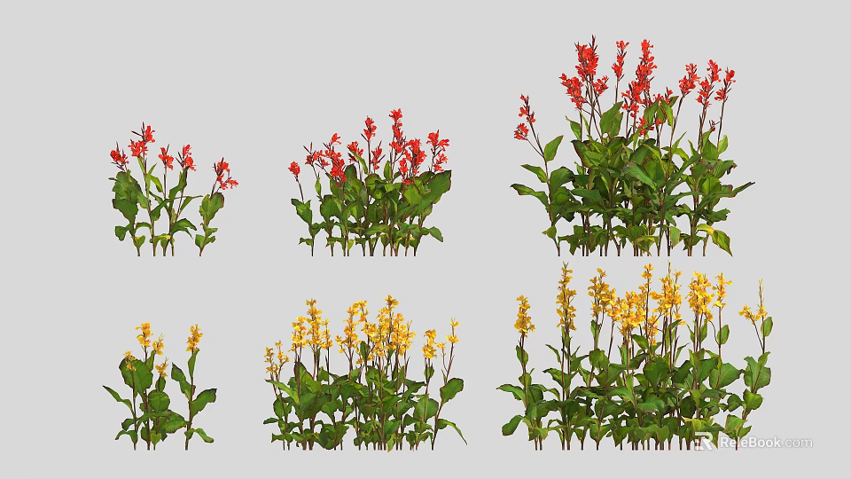Vibrant Red and Yellow Flower Plants With Green Leaves and Lush Foliage 3d model 