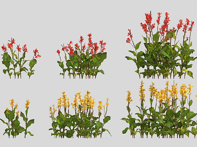 Vibrant Red and Yellow Flower Plants With Green Leaves and Lush Foliage 3d model