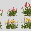Vibrant Red and Yellow Flower Plants With Green Leaves and Lush Foliage