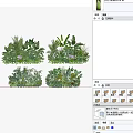 Lush Green Plants And Purple Flowers In Decorative Indoor Wall Arrangements