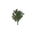 Poplar Tree Themed Decorative Ornament Set With Silhouette Figure And Green Foliage