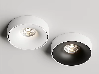 Modern LED Downlights and Spotlights with Round White and Black Design for Home Ceiling Lighting 3d model