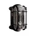 Vintage Black Metal Wall Light with Transparent Glass Shade and Cage Design