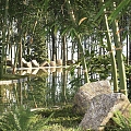 modern bamboo forest 3d model