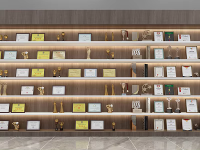 Trophies and Medals Display Wall With Illuminated Wooden Background And Certificates 3d model