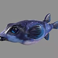 Vibrant Blue Purple Aquatic Pufferfish With White Spots Large Eyes And Dark Fins