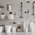 Modern Toilet Display In Bathroom With Shower Heads Towel Racks Urinals And Trash Bins