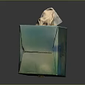 Decorative Teal Colored Rosto Brand Tissue Box with Tissue Sticking Out