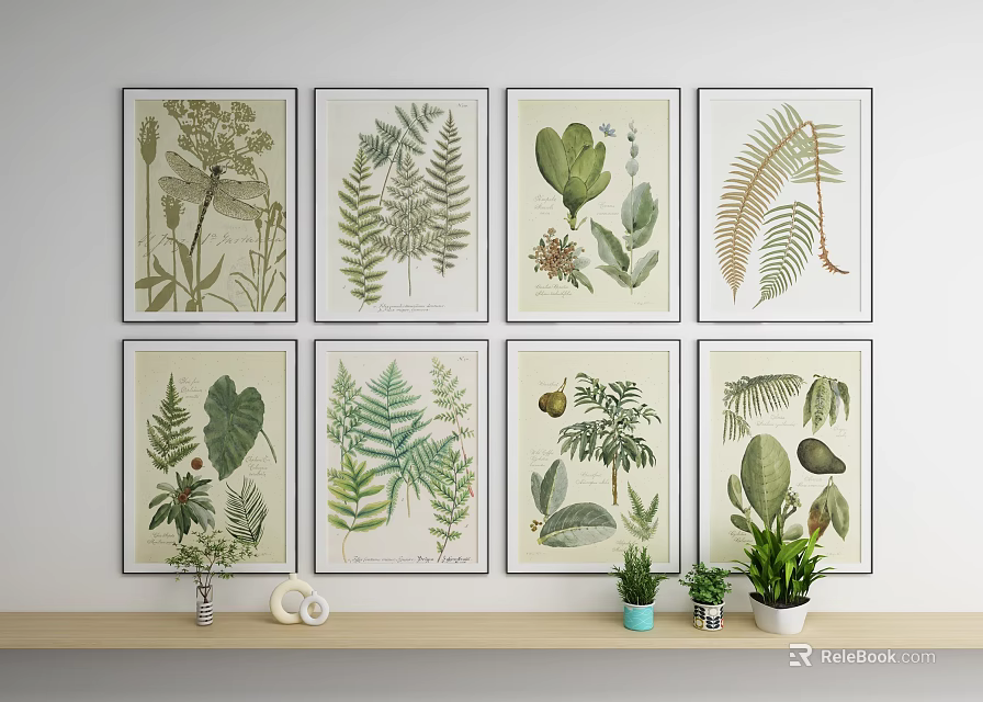 Botanical Art Prints Displayed On White Wall With Shelf Decor 3d model